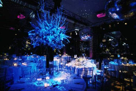 the-shinning-icy-blue-party-theme-decorations.jpg